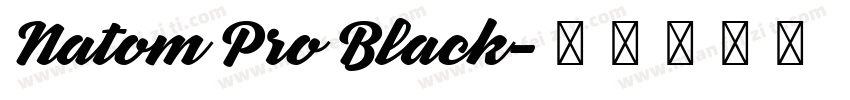Natom Pro Black字体转换
